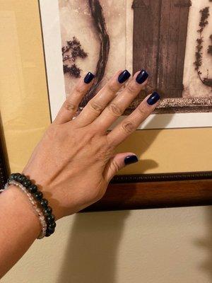 Dip Nails in Midnight Blue