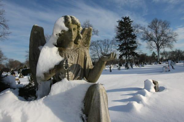 Catholic Cemeteries of Long Island