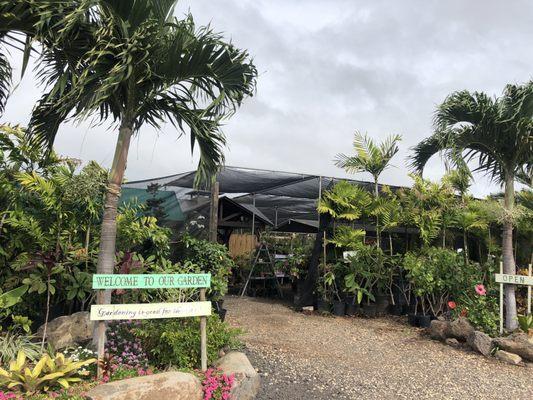 Nursery garden! Lotsa plants , flowers and fruit trees