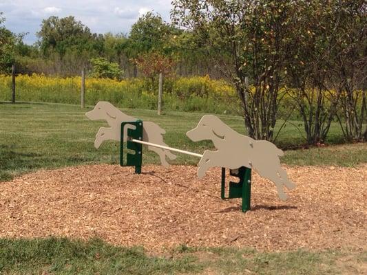 New dog agility courses have been installed!!! Yeah!!!