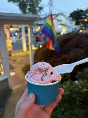 maine bear (red raspberry ice cream with chocolate chips & raspberry chocolate truffles) - kiddie size in cup