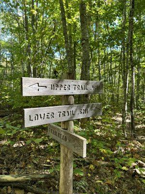 Beech Hill Preserve