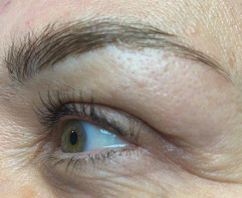 Lash Lift & Brow Lamination