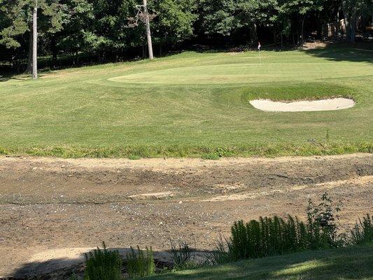 They drained the pond on The Cove #8, I've got balls in there!