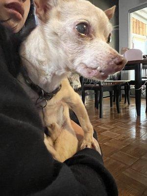 His right side of his mouth teeth are permanently sticking out of his mouth after staying at their facility.