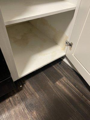 Stained kitchen cabinets