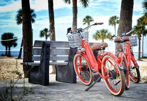 The Bicycle Boutique