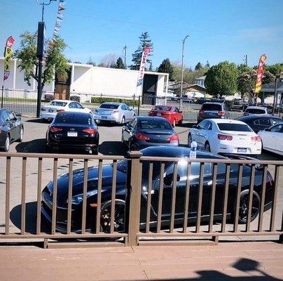 Car Lot