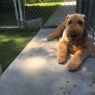 Lounging in the shade