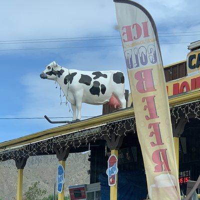 Can-Do Cow on roof!