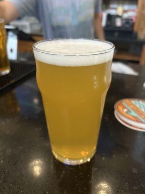 Haze Harvester Fresh Hop Hazy IPA