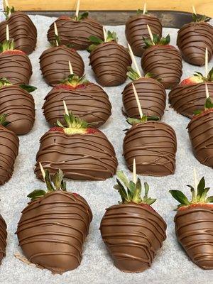 Fresh dipped chocolate strawberries