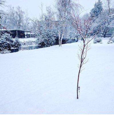 Campus has some gorgeous scenery from the snow storm last month.