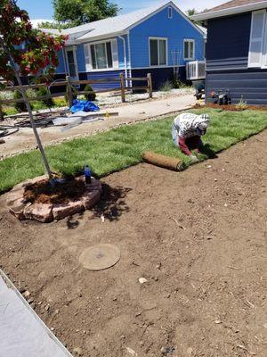 Installing new sod