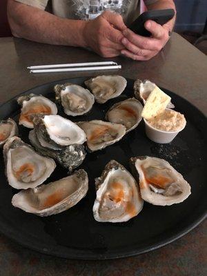 Oysters on the half shell!  Yummy! Also gator bites!