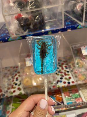 Scorpion lollipop