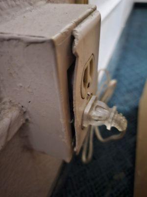 Outlet eaten by rodents