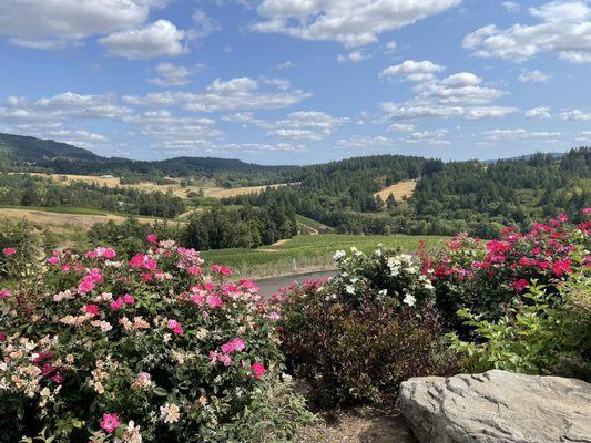 Gorgeous views if you can see over the retaining wall.