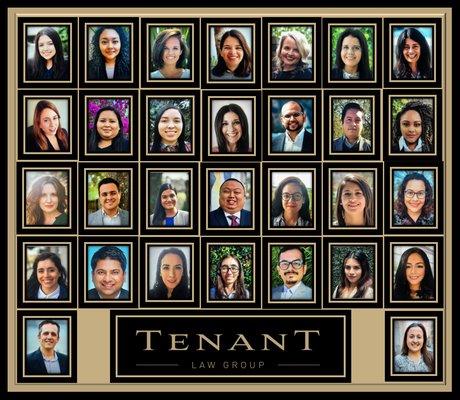 Meet the Tenant Law Group Team!