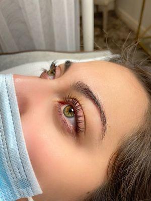 Lash Artistry