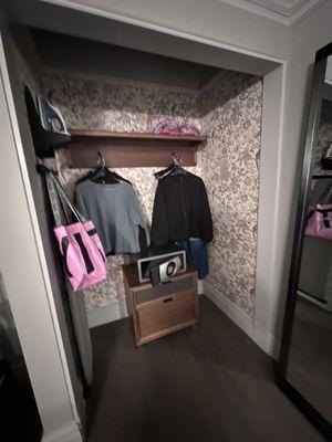 Open Closet w/ Safe