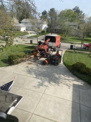 Wood chipper taking out the branches