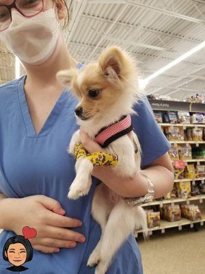 Baby Lala with the vet tech after her heart worm test