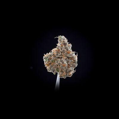 Ambrosia - 1st Place Best Hybrid Hempcon 2016. http://hempcon.com/san-fran-420-weekend-2016-awards