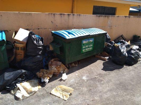 The trash was so full, all of this trash could not fit so they just left it after tearing the bag you see torn.