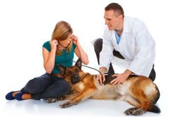 We've developed a highly responsive, caring team of certified veterinarians and trained support professionals