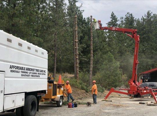 Affordable Arborist Tree Care