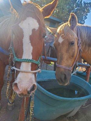 Went on a ride for my husband's 40th the ride was awesome and the cowboys who showed us around were great!