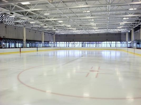 Steriti at the start of public skate