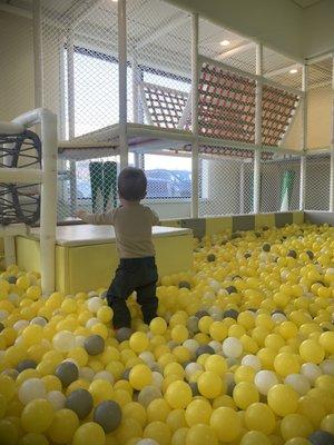 The ball pit