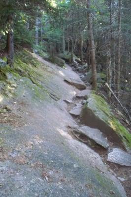 Exposed rock trail on Osceola Trail