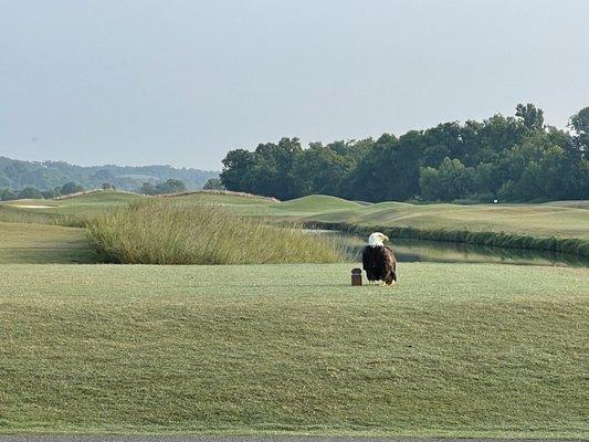 The Sevierville Golf Club