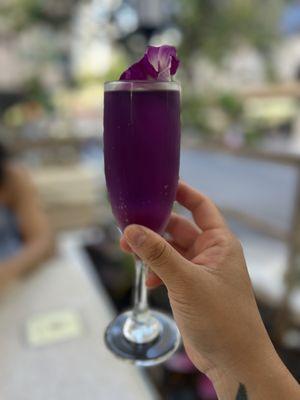 Butterfly Mimosa ($12)