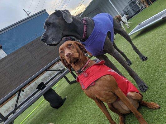 Ruby and her dog BFF, Mouse