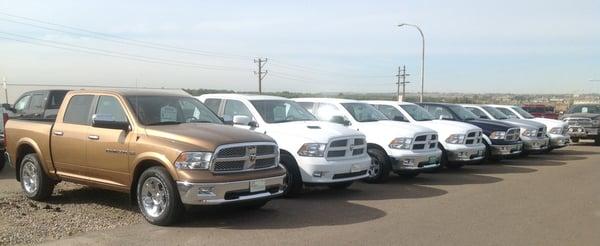 We have trucks, lots of them!