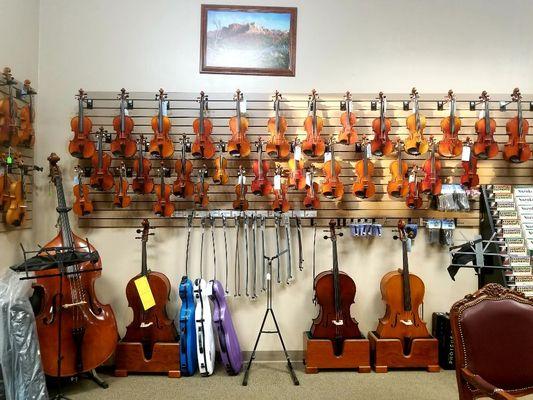 Violins, Violas, Cellos & Double Basses