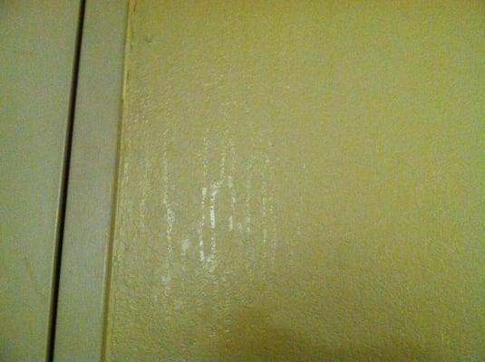 Stains on wall next to door