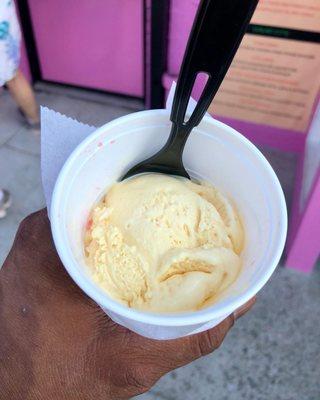 Mango Apricot & Raspberry Sorbet