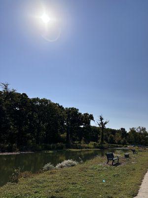 Pond-side benches