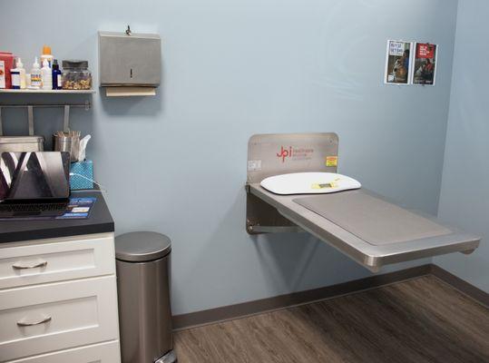 Clean, bright exam rooms-this one is for puppies and kittens!