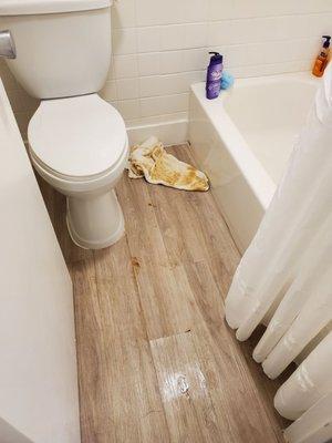 The towel on the floor is from cleaning the floor everytime the rust would seep through the floor.