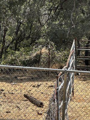 Supposed to be cleared fence line