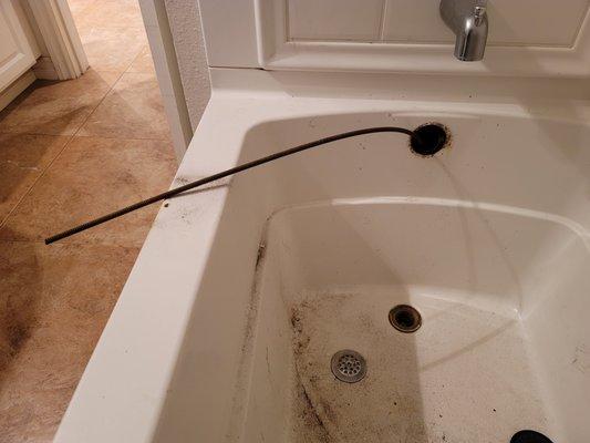 BBC Rooter snake stuck in tub outflow