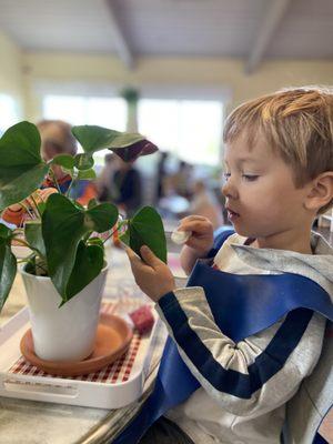 La Jolla Village Montessori School