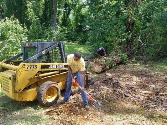 Cleaning up fallen dead tree in customers yard.