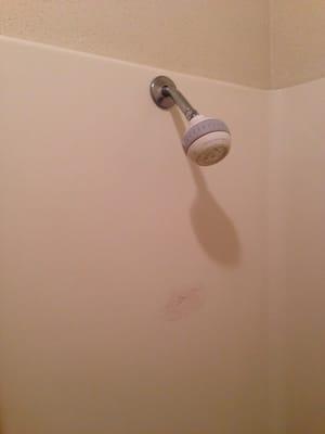 Hole in shower wall and very dirty shower head